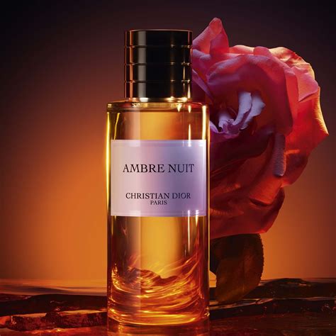 dior ambre nuit alternative|dior ambre nuit price.